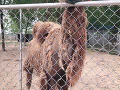 -宿豫区运河湾森林动物园