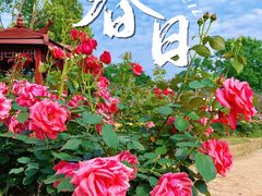 -武汉紫薇都市田园