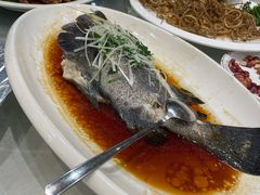 -大东海海鲜酒楼(渔人码头总店)