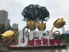 -重庆市江北嘴中央商务区中央公园