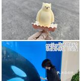 硬防晒｜出门包里背什么防晒，翻包记
