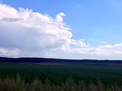 -塞罕坝国家级自然保护区