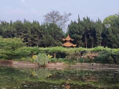 -嘉定紫藤园