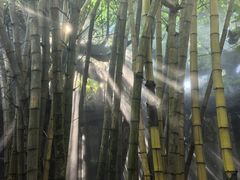 -青青世界
