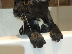 -Oh My Dog宠物沙龙(伊珊娜皮毛护理店)