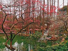 -杭州植物园