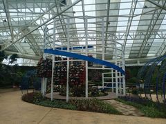 -石家庄市植物园