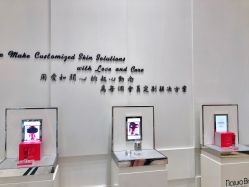 -奥斯芬欧系贵族SPA