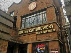 -Boxing Cat Brewery拳击猫精酿啤酒馆(永福店)