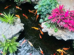 -广州白天鹅宾馆