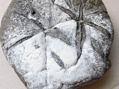 -七叔是岛民(花基新村店)