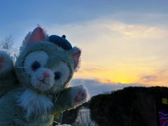 -上海国际音乐村