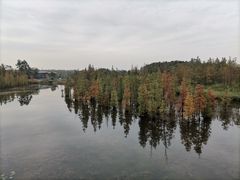 -白鹭湾湿地公园