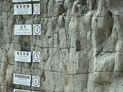 -金沙遗址博物馆