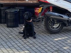 -摩道团机车工坊 摩托车维修 精洗店