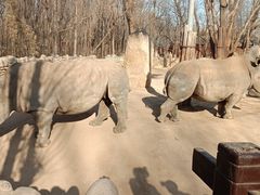 -北京野生动物园