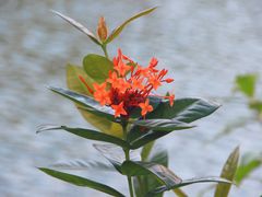 -大埔公路-马料水段香港中文大学(公交站)