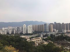 -金鸡山公园