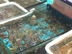 -東城故事·尋找姆媽的味道(玉兰路店)