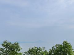 -上海市保健医疗中心