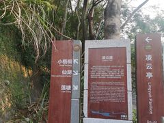 -梧桐山风景名胜区