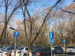 -奥林匹克森林公园南门-停车场