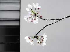 -龙美术馆(西岸馆)