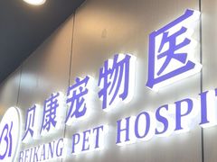 -贝康宠物医院·犬猫全科·小动物特色诊疗中心(东环路店)