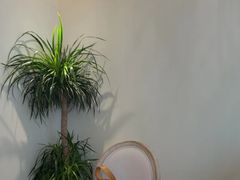 -申粤轩·手工点心·金牌烧味·经典粤菜(丁香花园店)