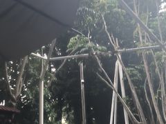 -碧水湾温泉