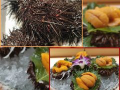 -浦·传统日式料理(3 5 1 1 店)