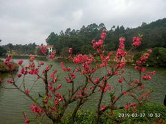 -南国桃园旅游度假区