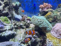 -珠海长隆海洋王国