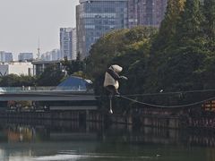 -成都市活水公园