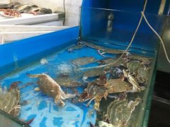 -晓琦农家菜馆·地道农家菜