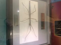 -上海昆虫博物馆