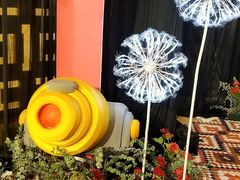 -一芳陈家台湾水果茶
