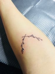 -蜉蝣刺青纹身定制