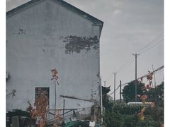 -莲花岛景区