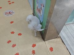 -海门爱心宠物医院