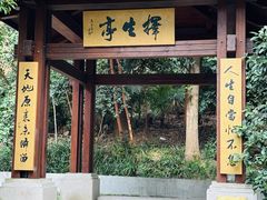-灵谷景区