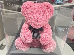 -ROSEONLY诺誓(广州K11店)