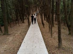 -火炉山森林公园