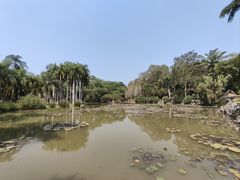 -中国科学院西双版纳热带植物园