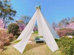 -福建鲤鱼洲酒店