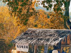 -青岩古镇