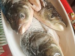 -三只耳冷锅鱼火锅(玉林店)