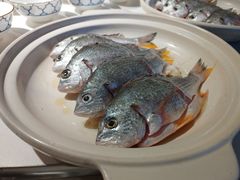 -陈鹏鹏潮汕菜(欢乐海岸 海边景观店)