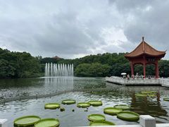 -广州莲花山旅游区