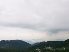-武陵山森林公园
